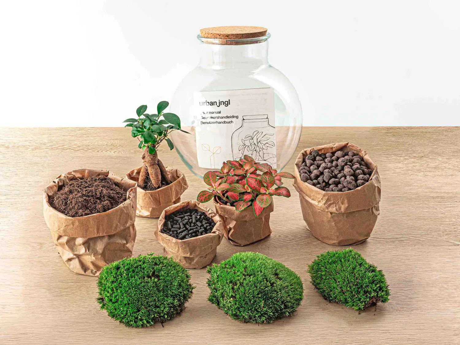 Urbanjungl Teddy Bonsai Rood terrarium DIY kit met licht Ø26 cm