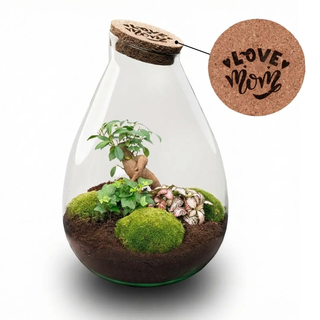 Urbanjungl Drop XL LOVE MOM Terrarium DIY Kit 37 cm