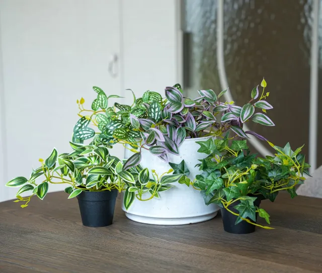 Urbanjungl Hangplanten Mix Kunstplanten 4 Stuks 19 cm
