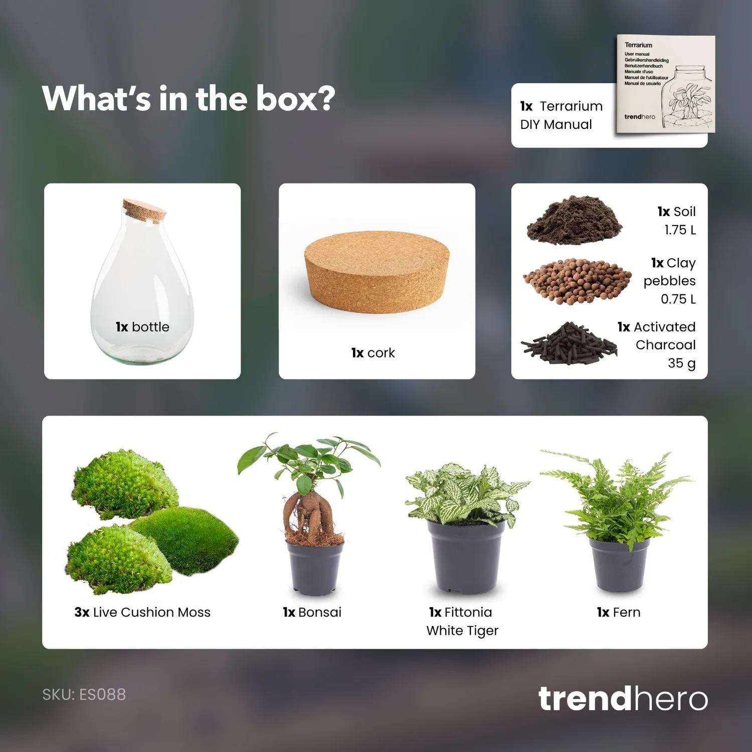 Urbanjungl Drop XL Groen terrarium DIY kit Ø 24 cm kurk