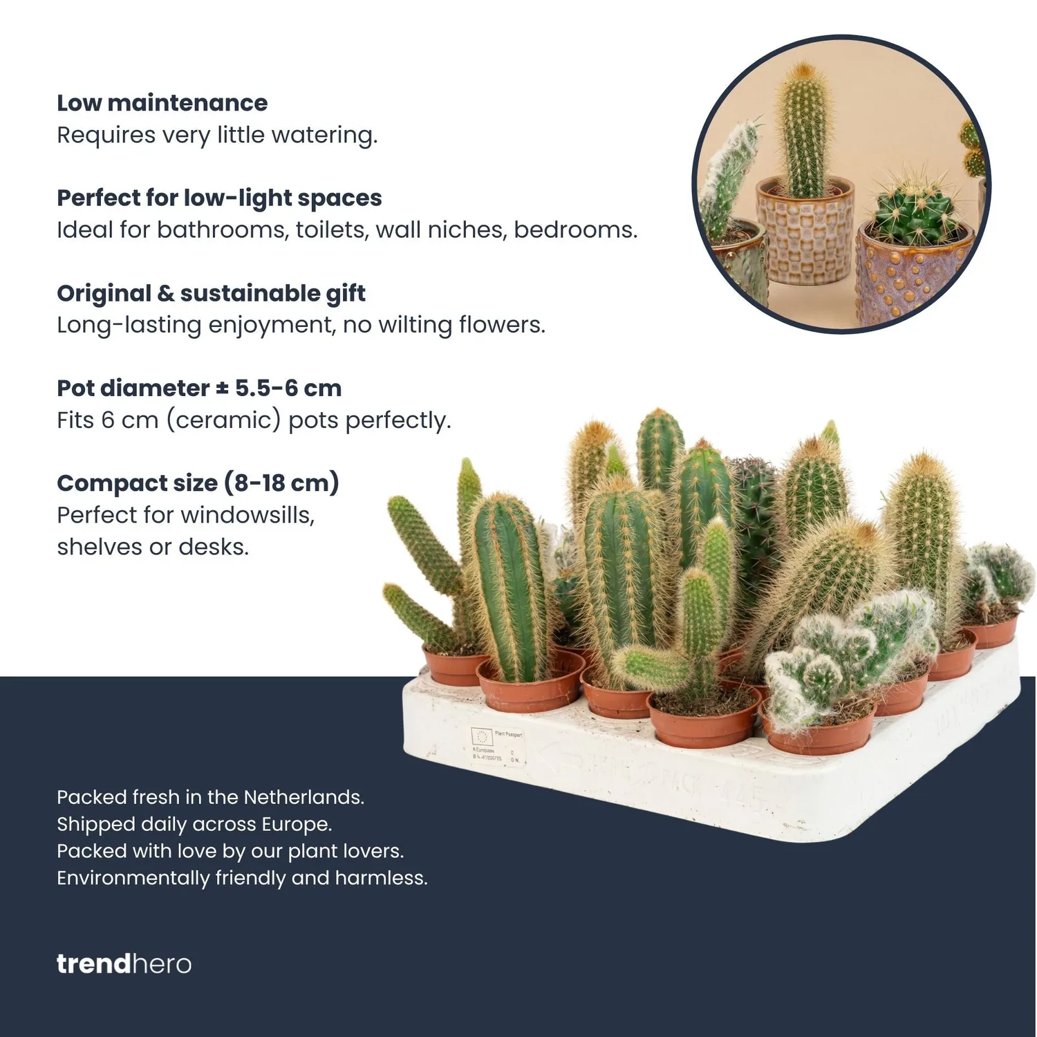 Urbanjungl Cactussen cactusset 3 stuks met rode pot 8-12 cm
