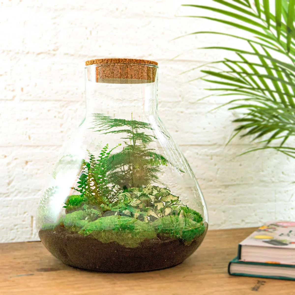 Urbanjungl Sam XL plantenterrarium DIY kit met licht 30 cm