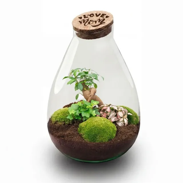 Urbanjungl Drop XL LOVE MOM Terrarium DIY Kit 37 cm