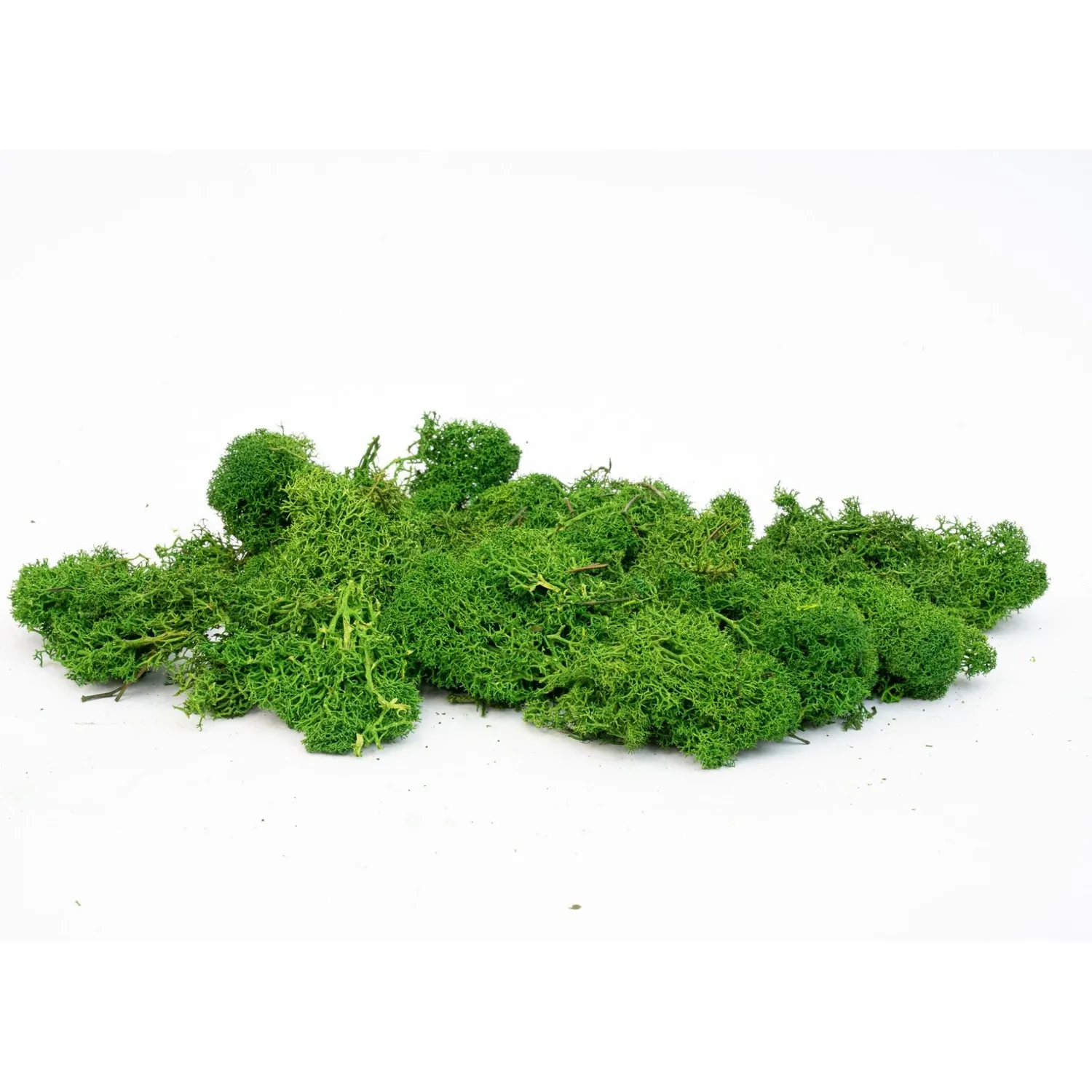 Urbanjungl Rendiermos groen decoratiemos zak 50 g