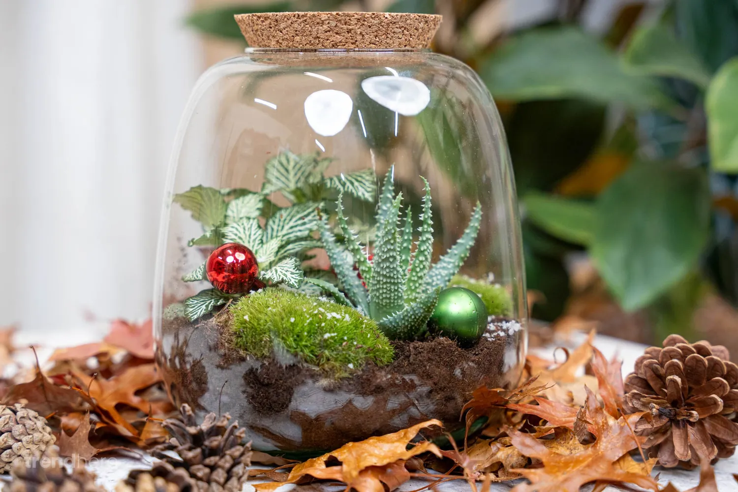 Urbanjungl Dennenappels Klein decoratie 10 stuks 4-6 cm
