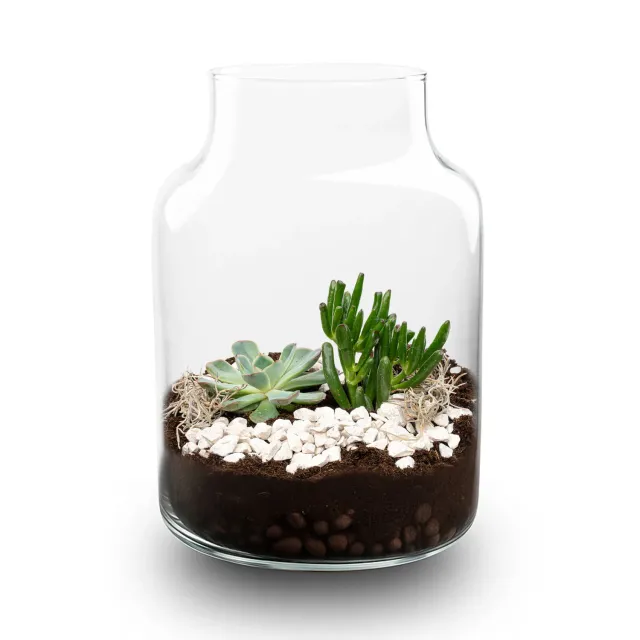Urbanjungl Little Milky Succulent terrarium DIY kit Ø17 cm