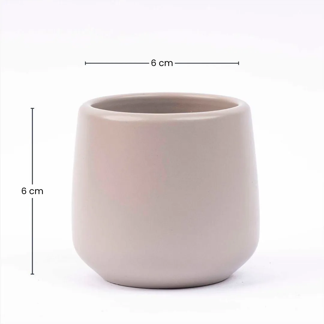 Urbanjungl Joey mini plantenpot grijs mat 6 cm