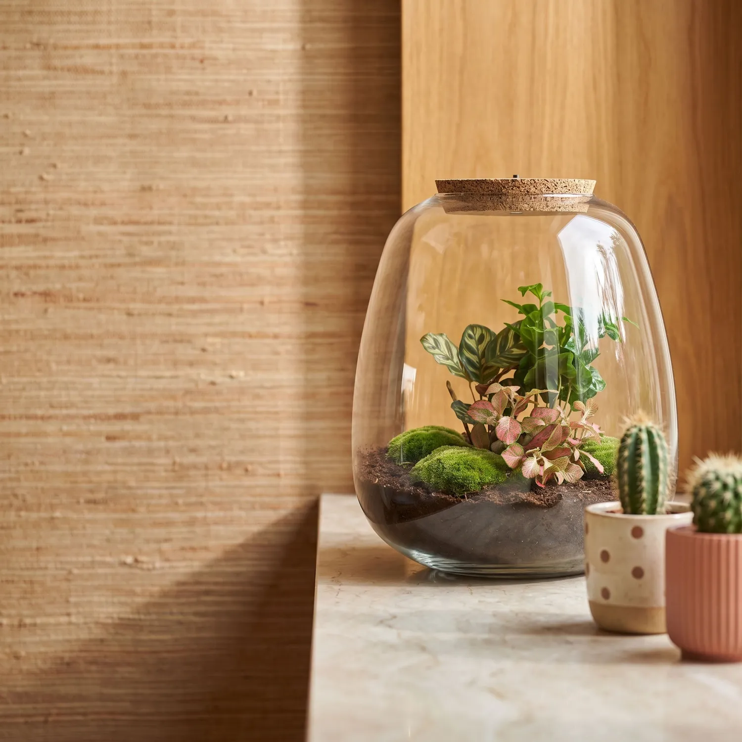 Urbanjungl Emma Coffea Red terrarium met licht Ø 23 cm