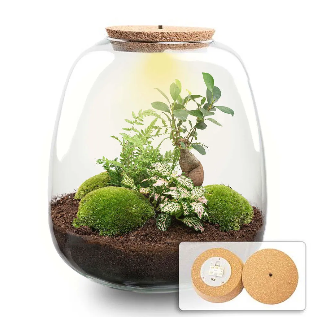 Urbanjungl Emma terrarium DIY kit bonsai pink met licht Ø 23 cm