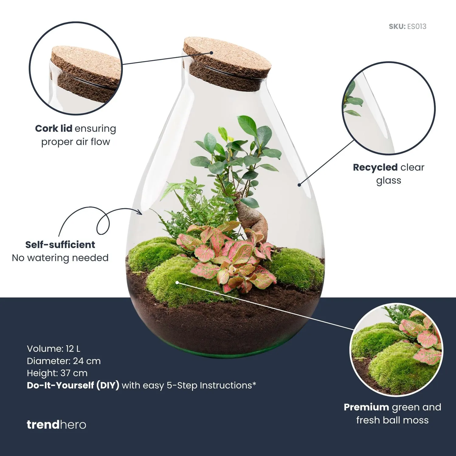 Urbanjungl Drop XL Rood terrarium Ø 24 cm DIY kit gesloten