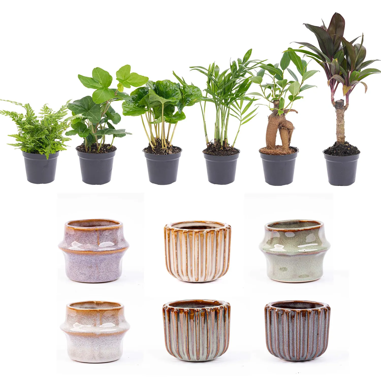 Urbanjungl Mini planten set 6 met Barcelona potjes