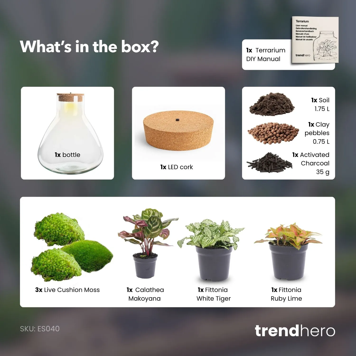 Urbanjungl Sam XL Red planten terrarium met licht