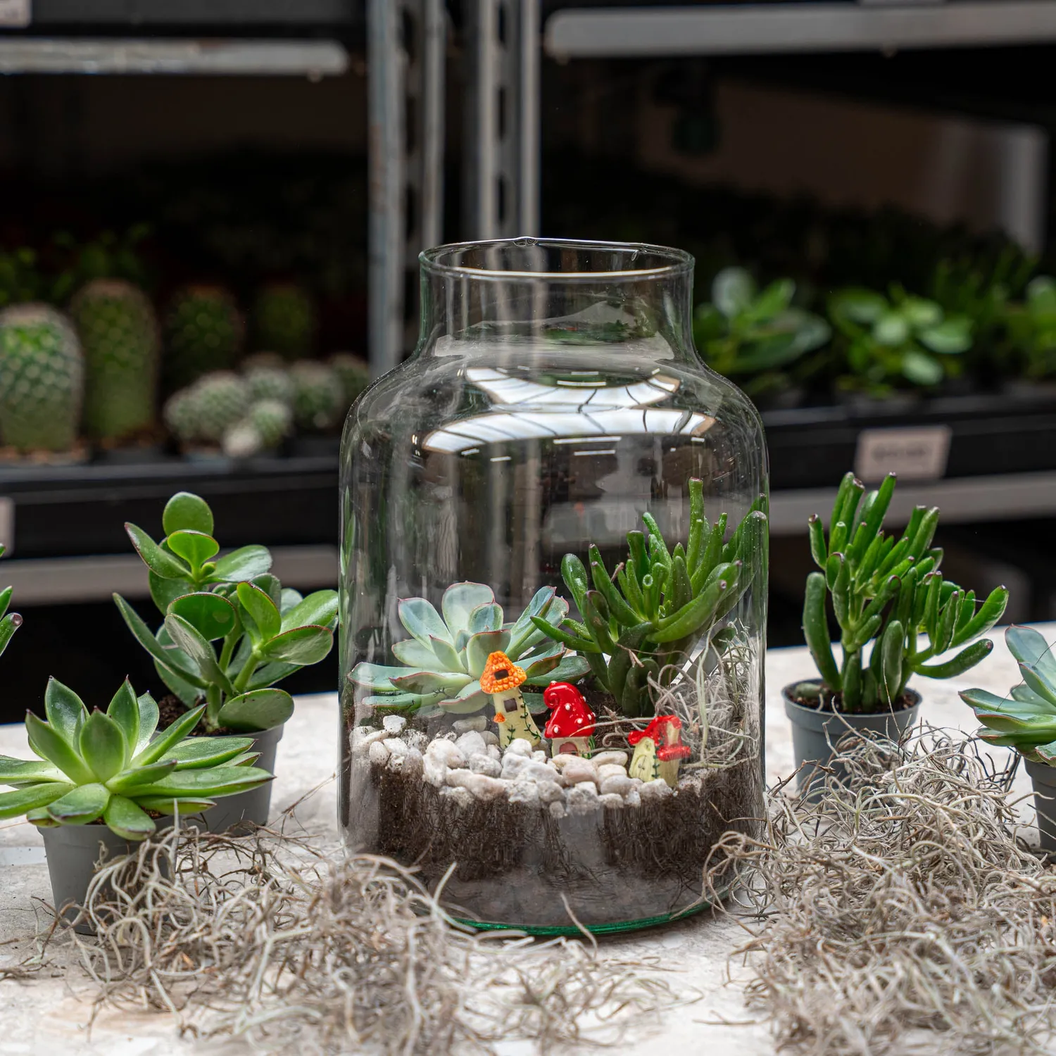 Urbanjungl Little Milky Succulent terrarium DIY kit Ø17 cm