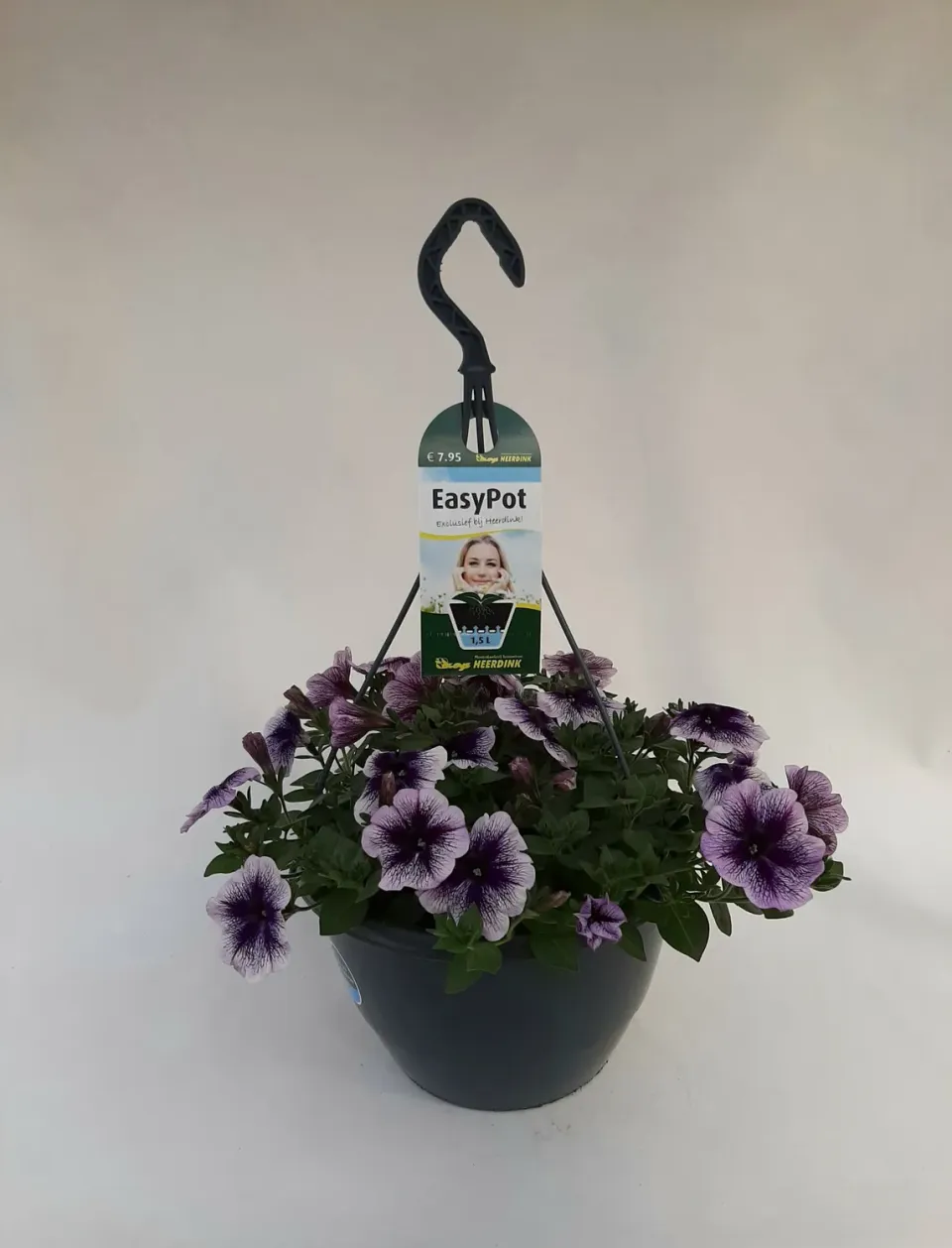 Hangpetunia purple vein balkonplant paars hangplant