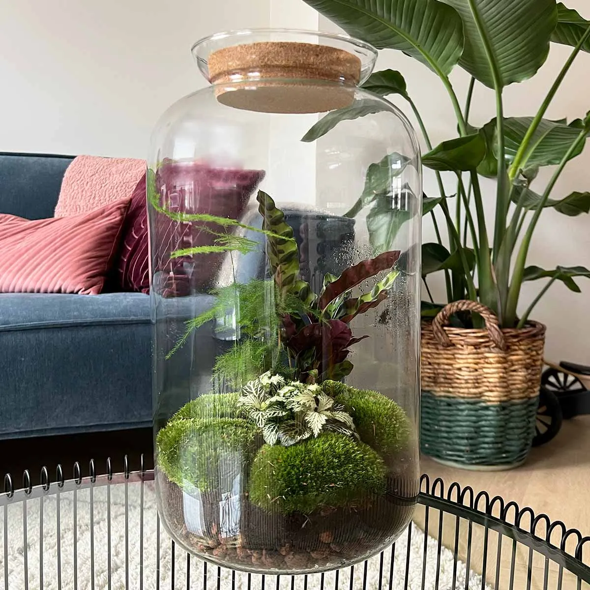 Urbanjungl Sven XL Botanisch planten terrarium LED