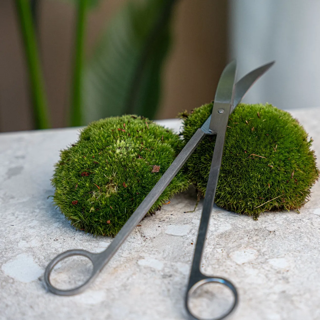 Urbanjungl terrariumschaar RVS 25 cm gebogen