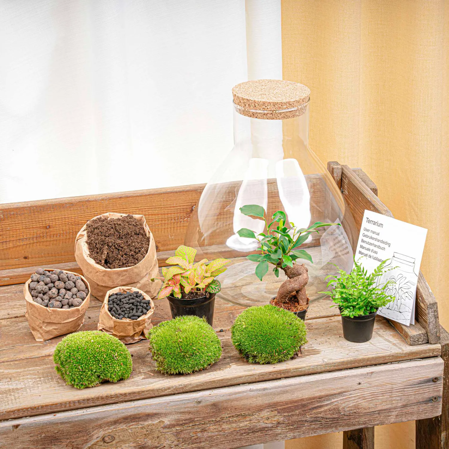 Urbanjungl Sam XL Bonsai planten terrarium kit met licht