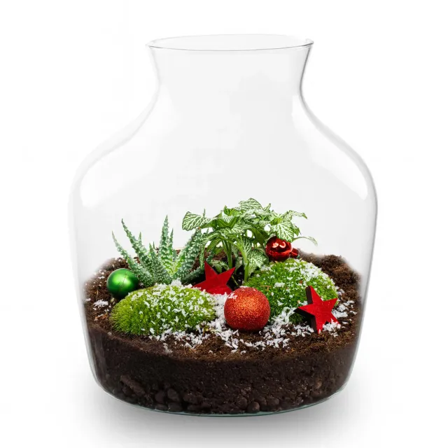 Urbanjungl Evergreen kerst terrarium DIY kit kurk