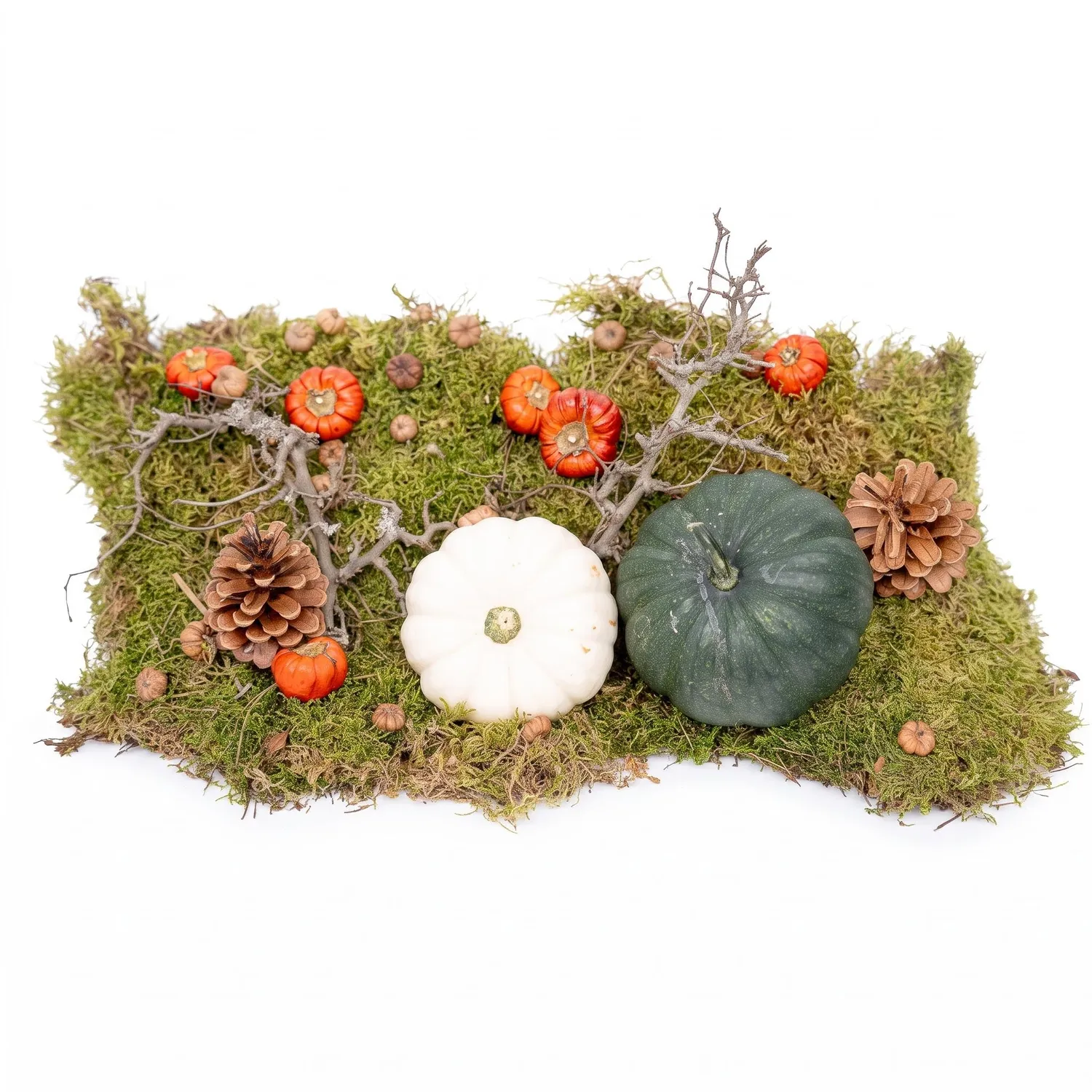 Urbanjungl Herfst deco kit pompoenen 12 cm natuurlijk