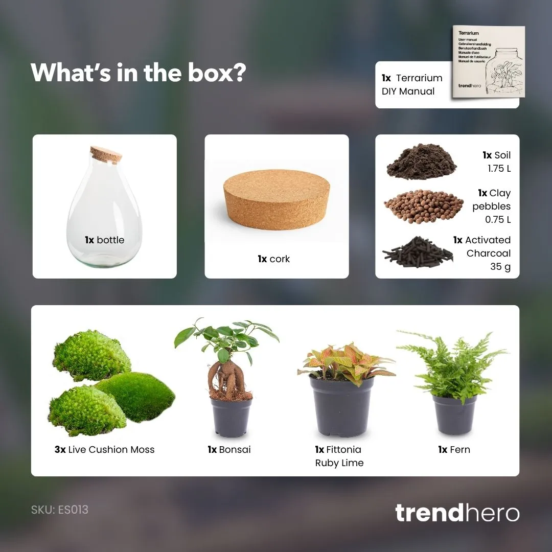 Urbanjungl Drop XL Rood terrarium Ø 24 cm DIY kit gesloten