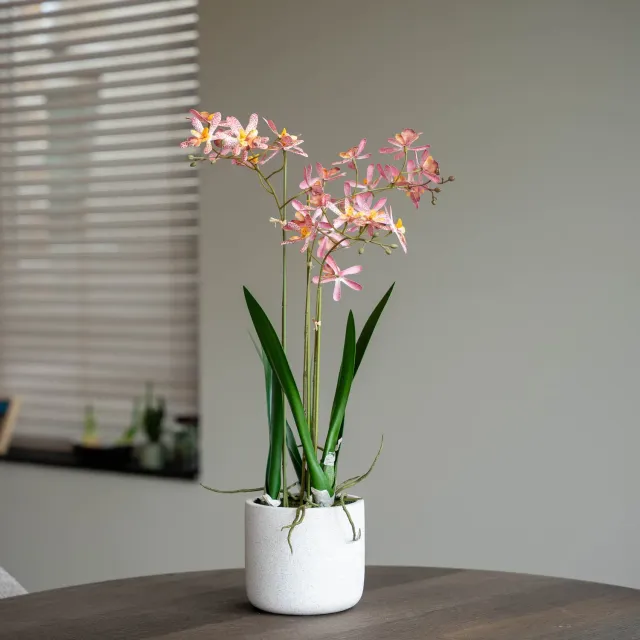 Urbanjungl Renanthera orchidee kunstplant 56 cm roze