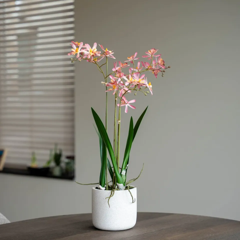 Urbanjungl Renanthera orchidee kunstplant 56 cm roze