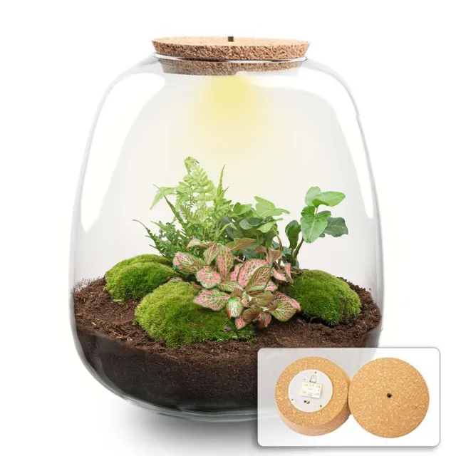 Urbanjungl Emma Terrarium met licht Ø23 cm hedera