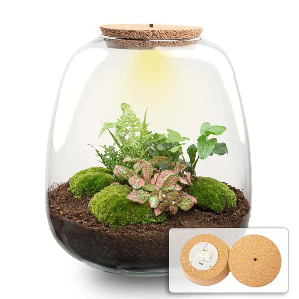Urbanjungl Emma Terrarium met licht Ø23 cm hedera