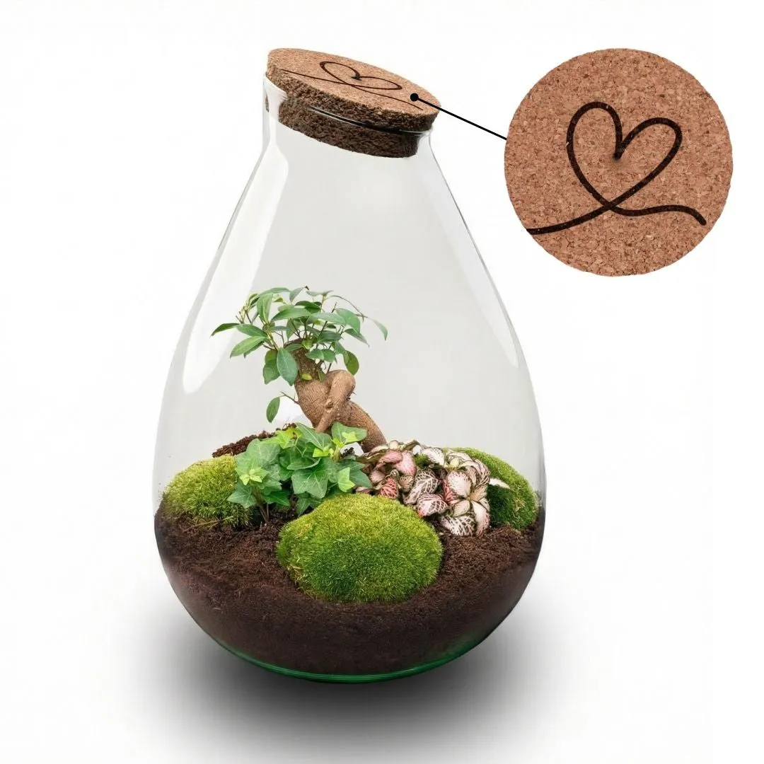 Urbanjungl Drop XL LOVE MOM Terrarium DIY Kit 37 cm