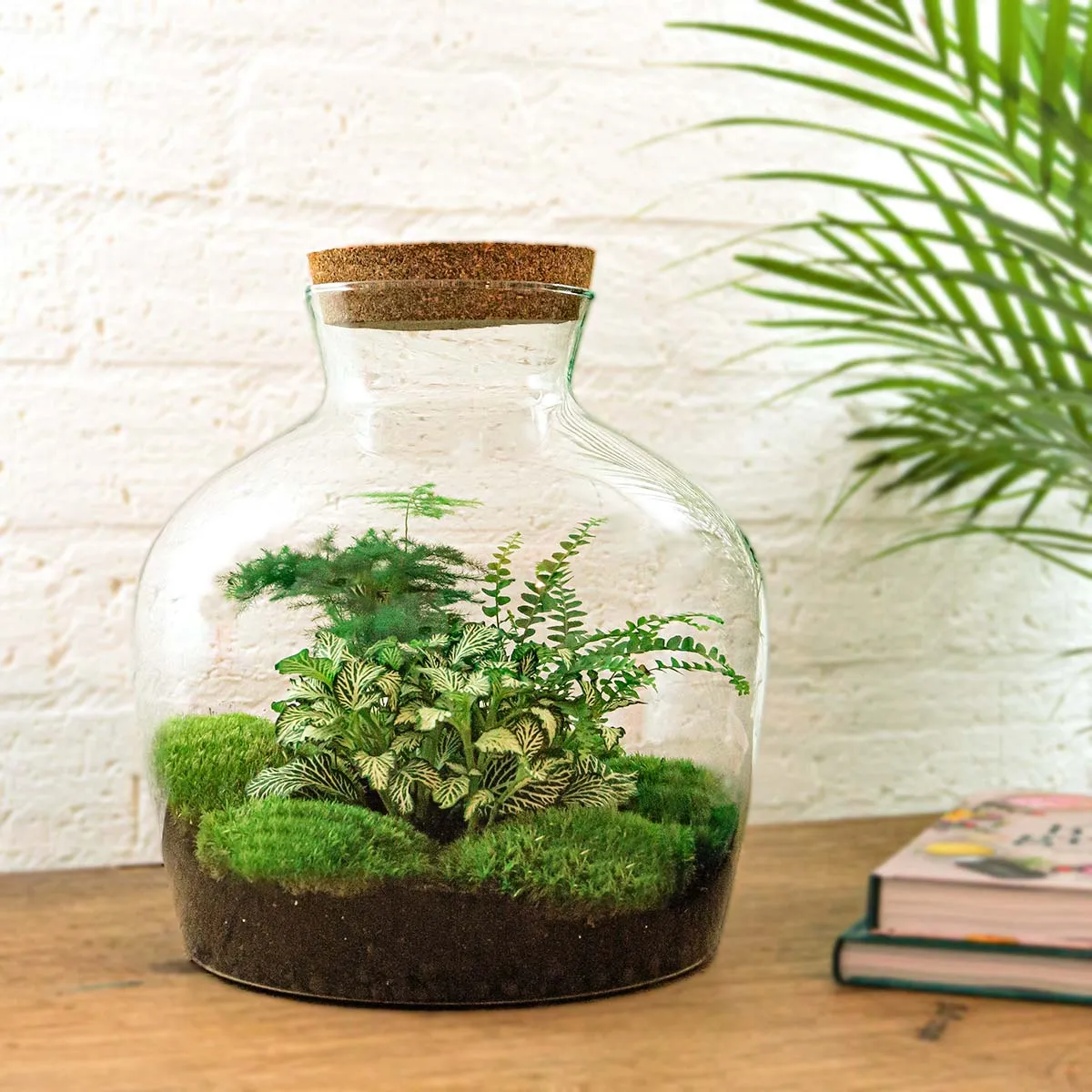 Urbanjungl Fat Joe Groen Terrarium met Licht Ø29 cm
