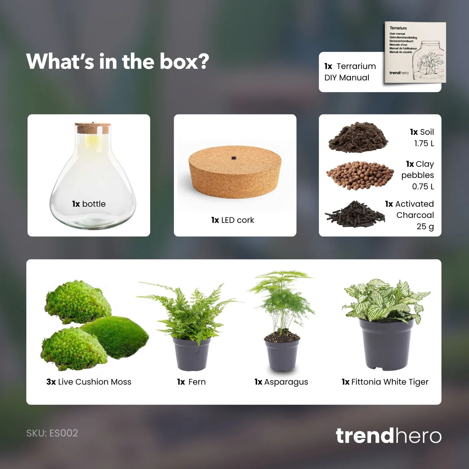 Urbanjungl Sam XL plantenterrarium DIY kit met licht 30 cm