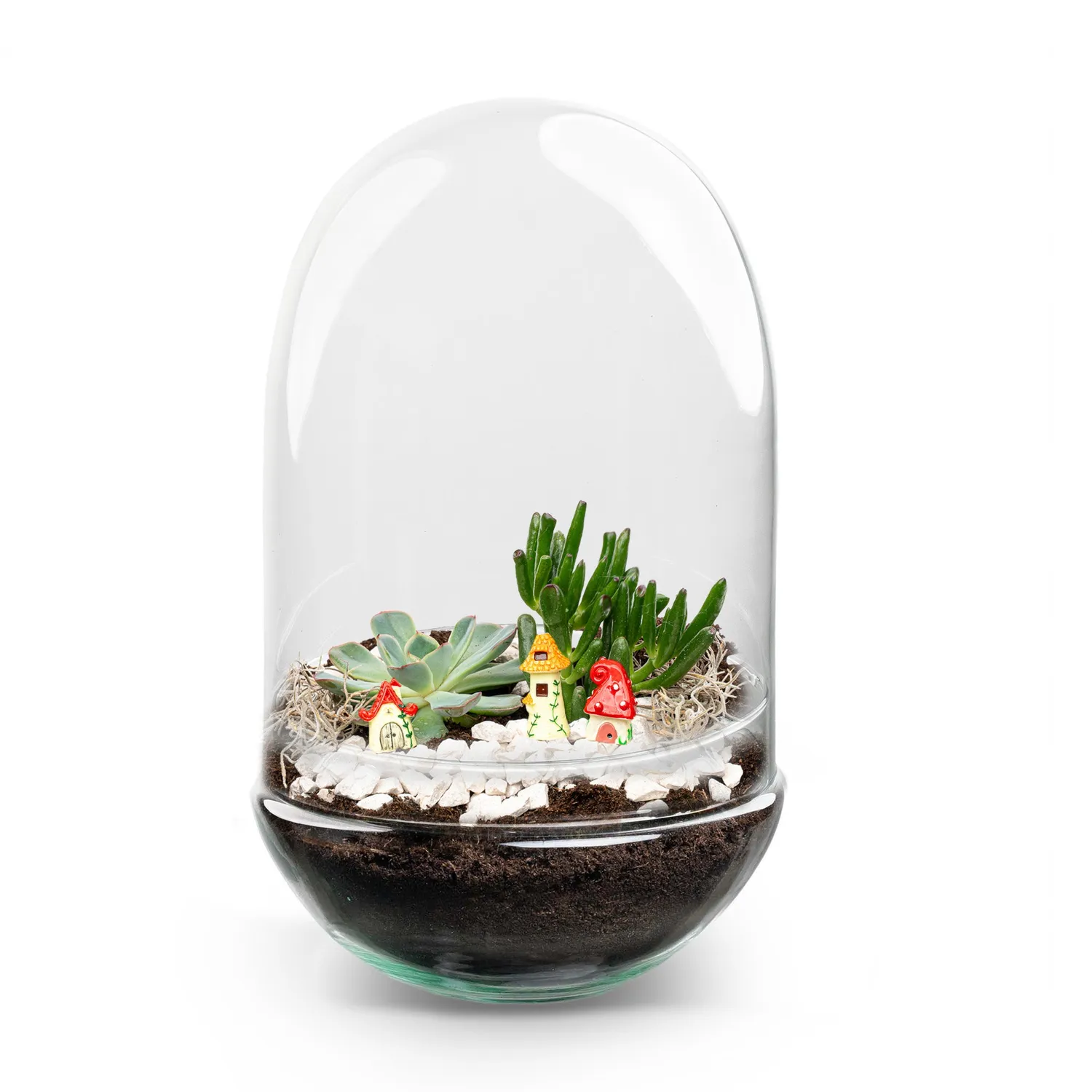 Urbanjungl Egg XL terrarium DIY kit 2 succulenten
