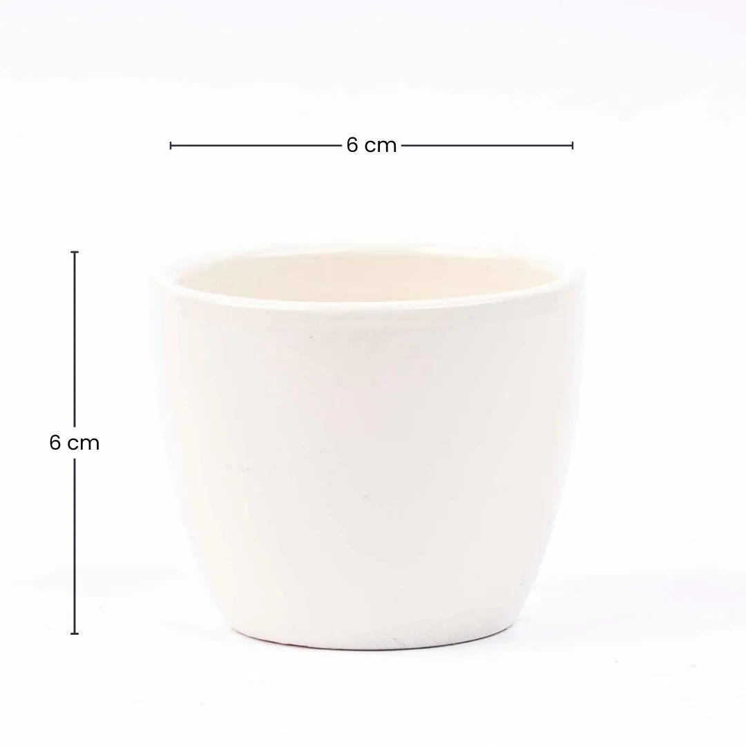 Urbanjungl Panna Glans plantenpot wit Ø 9 cm keramiek