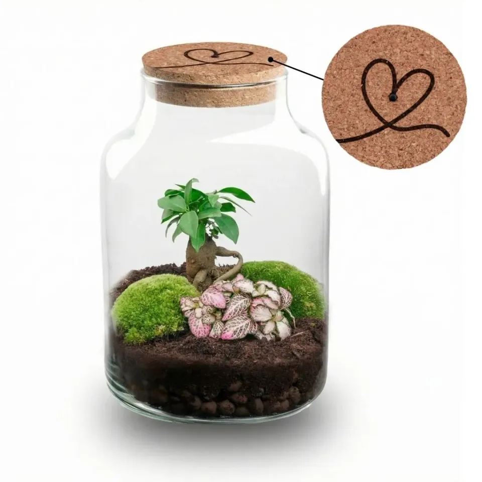 Urbanjungl Little Milky terrarium DIY kit hartje LED Ø 17 cm