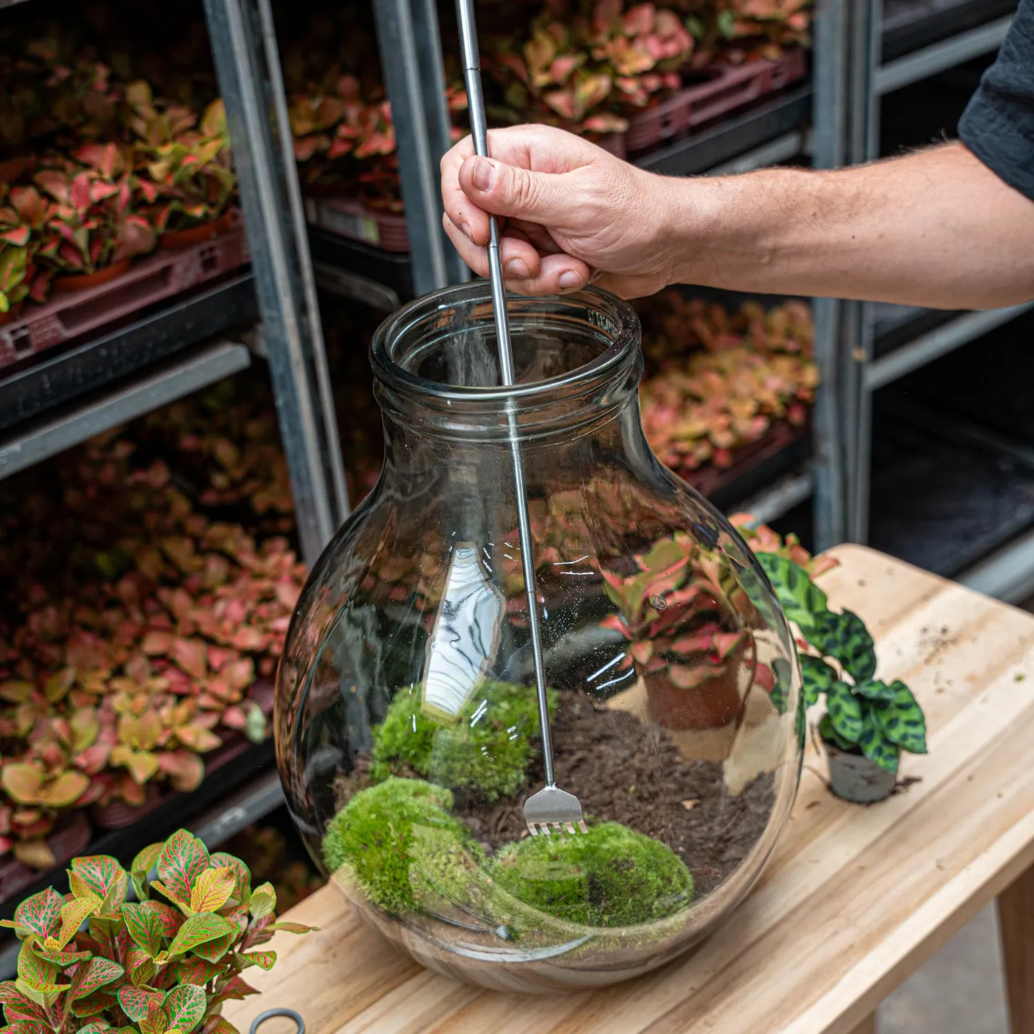 Urbanjungl Terrarium Tool hark telescopisch RVS 49 cm