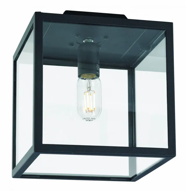Tuincentrum Heerdink Lofoten plafondlamp 27cm vierkant zwart E27