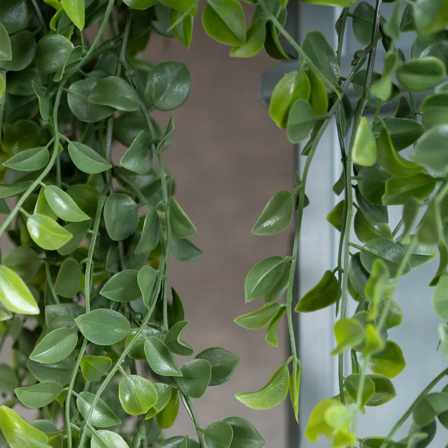 Urbanjungl Hangplanten XL 4 kunstplanten bundelset