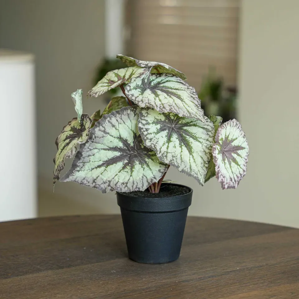 Urbanjungl Begonia kunstplant 26 cm in pot UV-bestendig