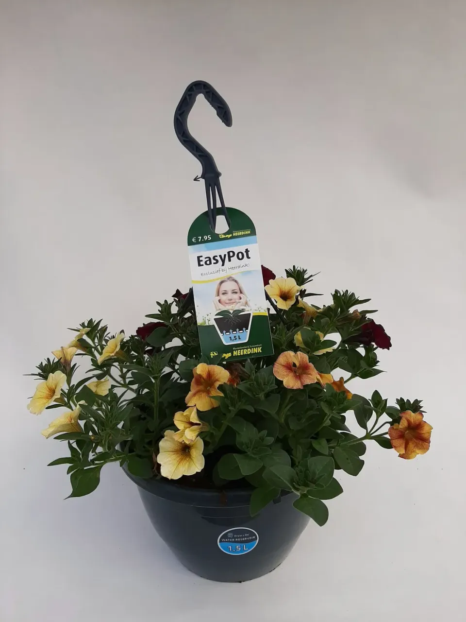 Tuincentrum Heerdink BeautiCal Petchoa mix balkonplant
