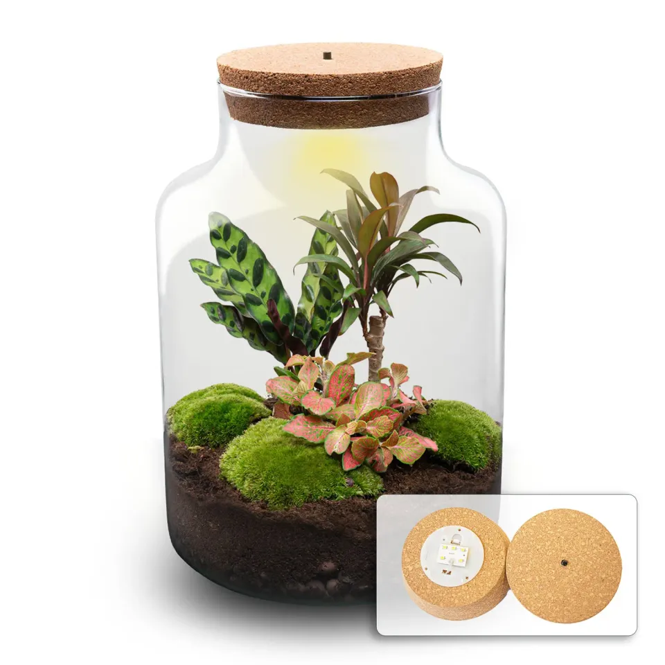 Urbanjungl Milky Palm terrarium DIY kit Ø 21 cm met licht