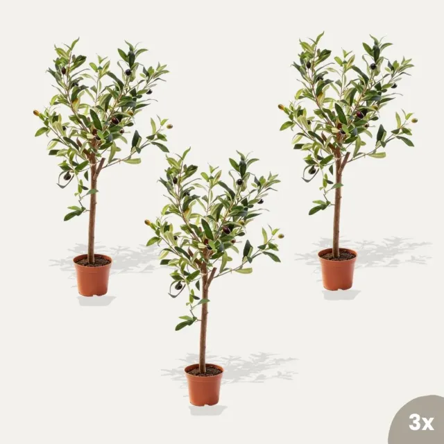 Urbanjungl Mini olijfboom kunstplant set van 3 65 cm