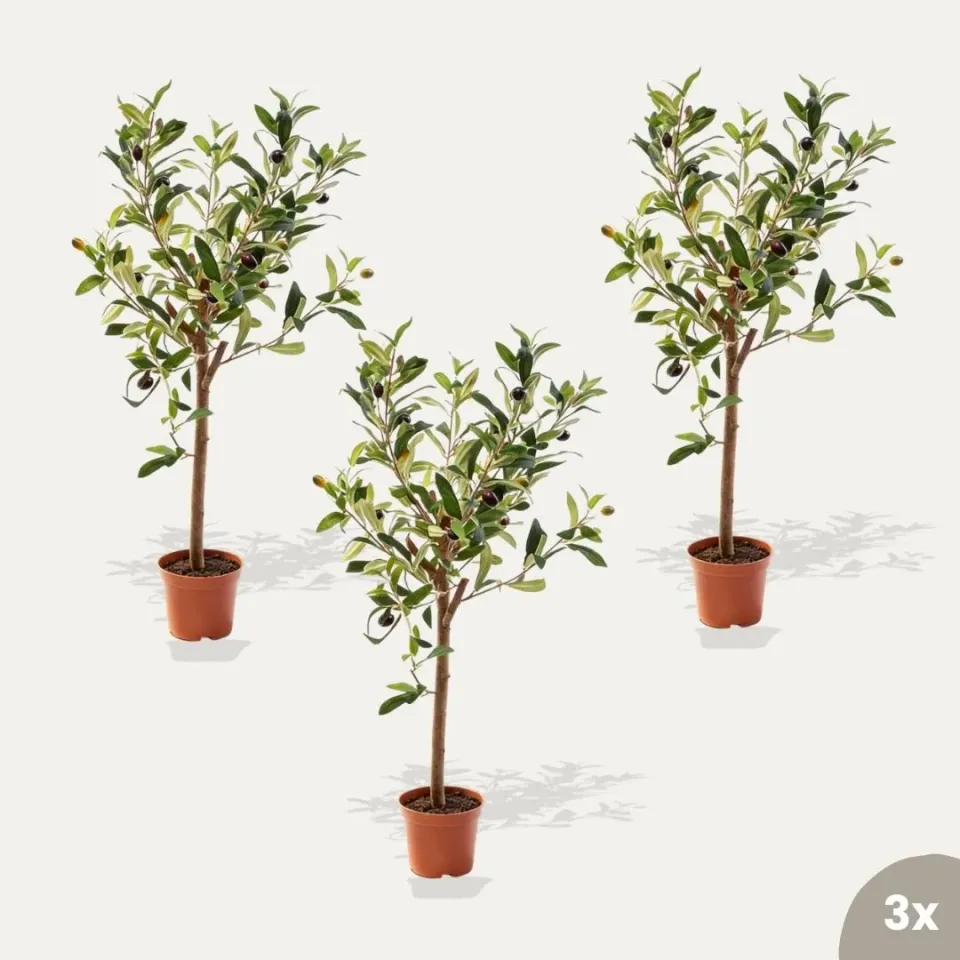 Urbanjungl Mini olijfboom kunstplant set van 3 65 cm