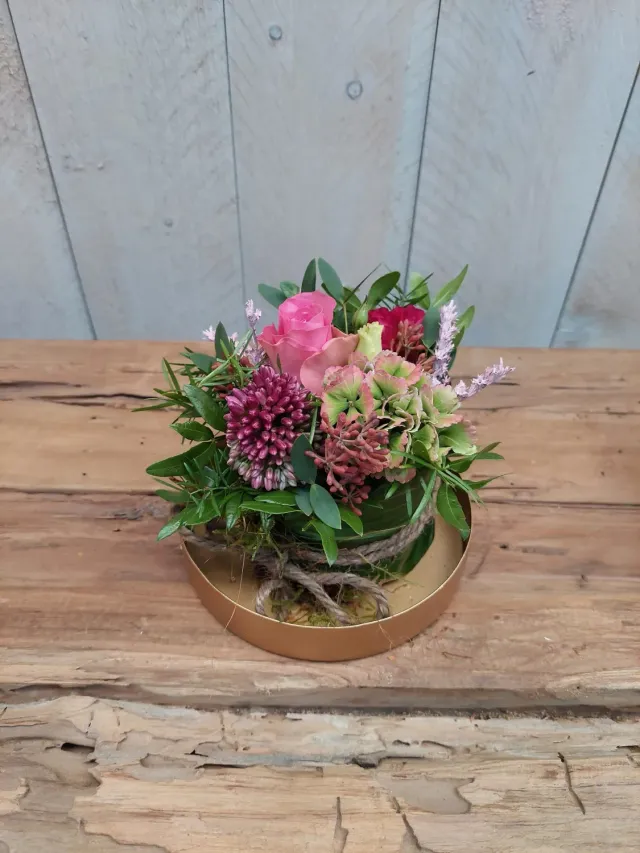 Tuincentrum Heerdink Taartje Klein vetplant roze paars