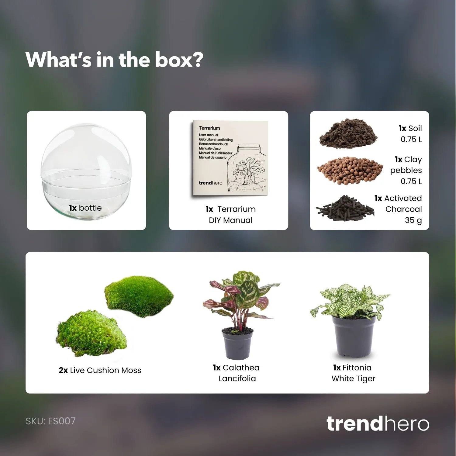 Urbanjungl Dome terrarium DIY kit Ø 20 cm gesloten
