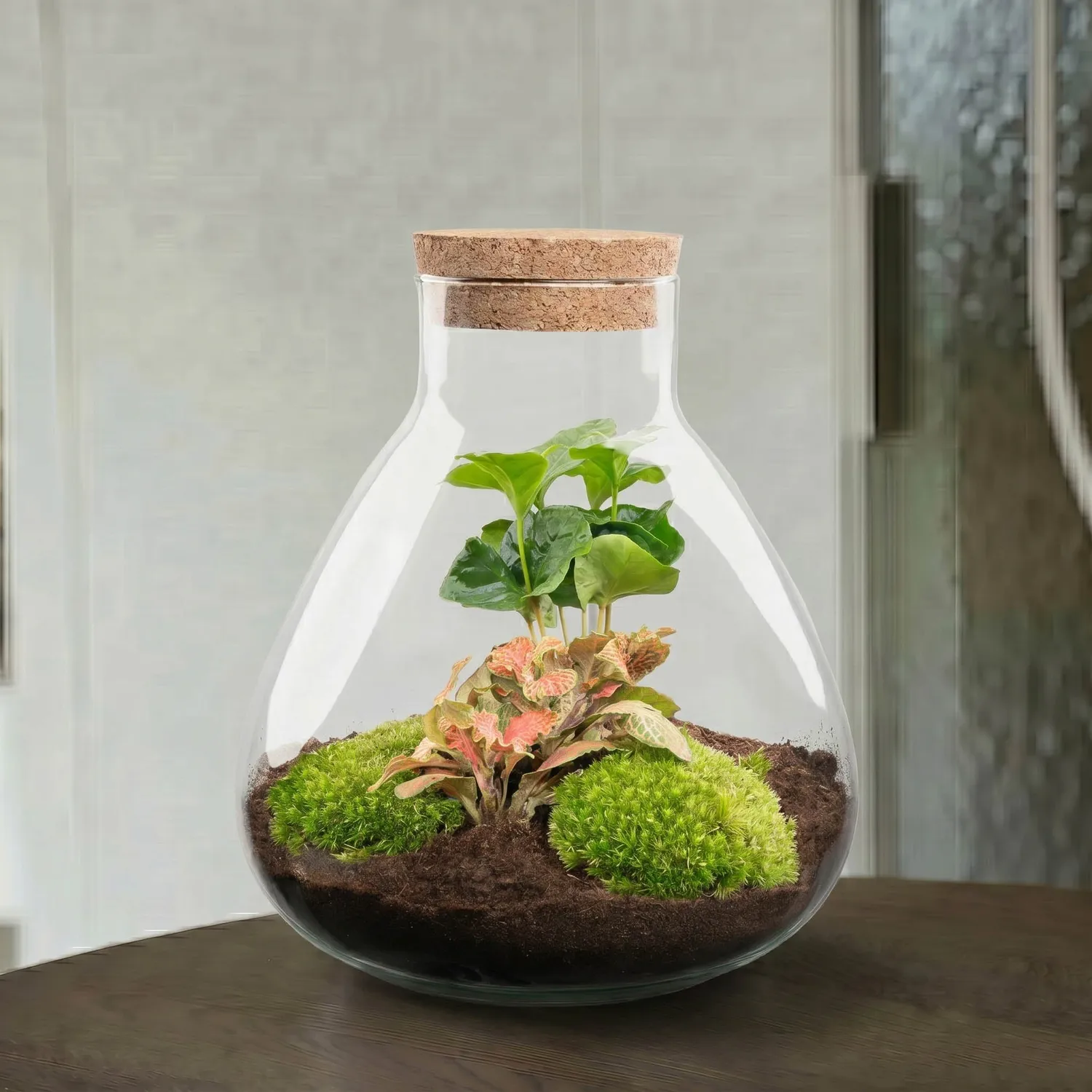 Urbanjungl Sammie Coffea Ruby Lime terrarium 22,5 cm diy kit