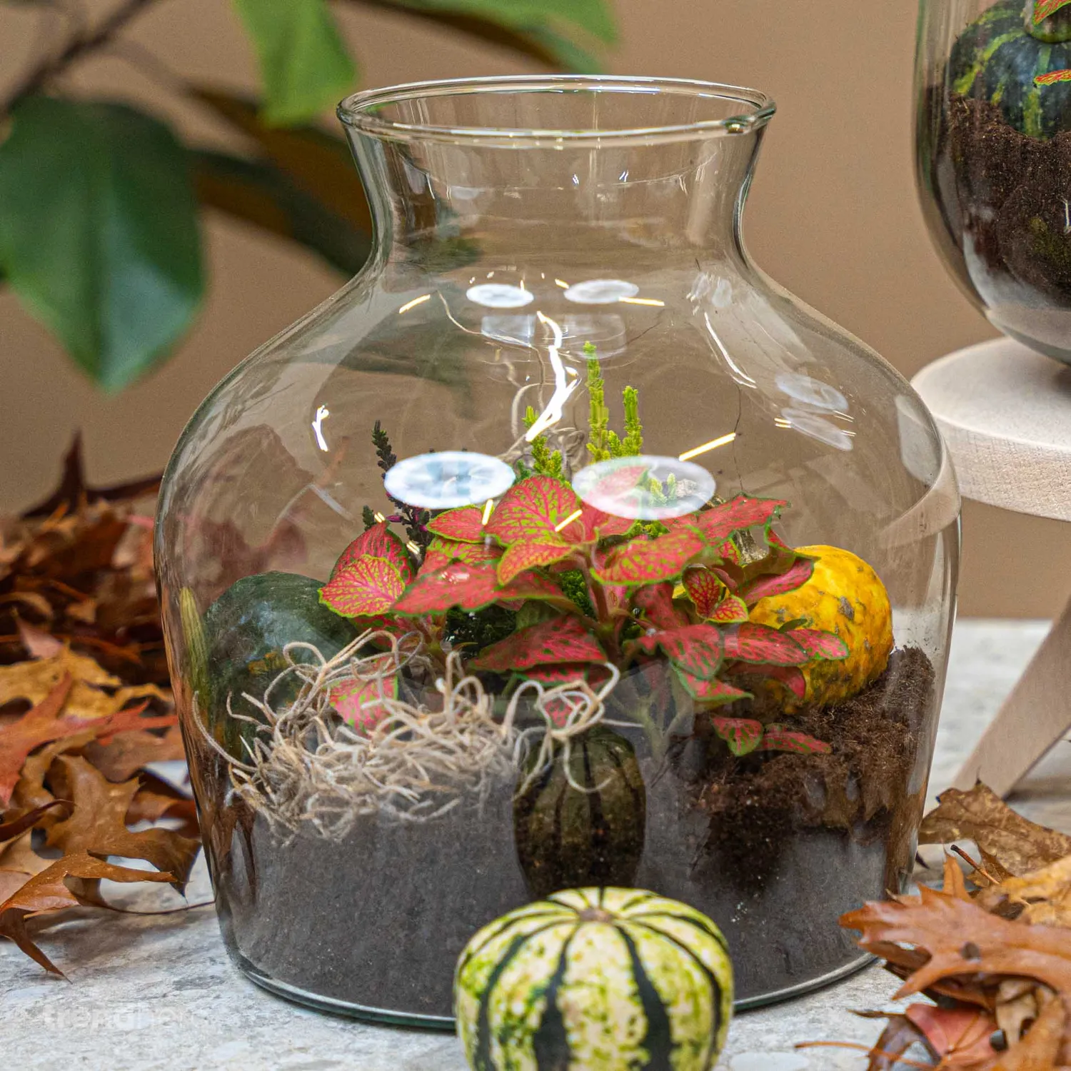 Little Joe Autumn terrarium DIY-kit Ø 20 cm met pompoen