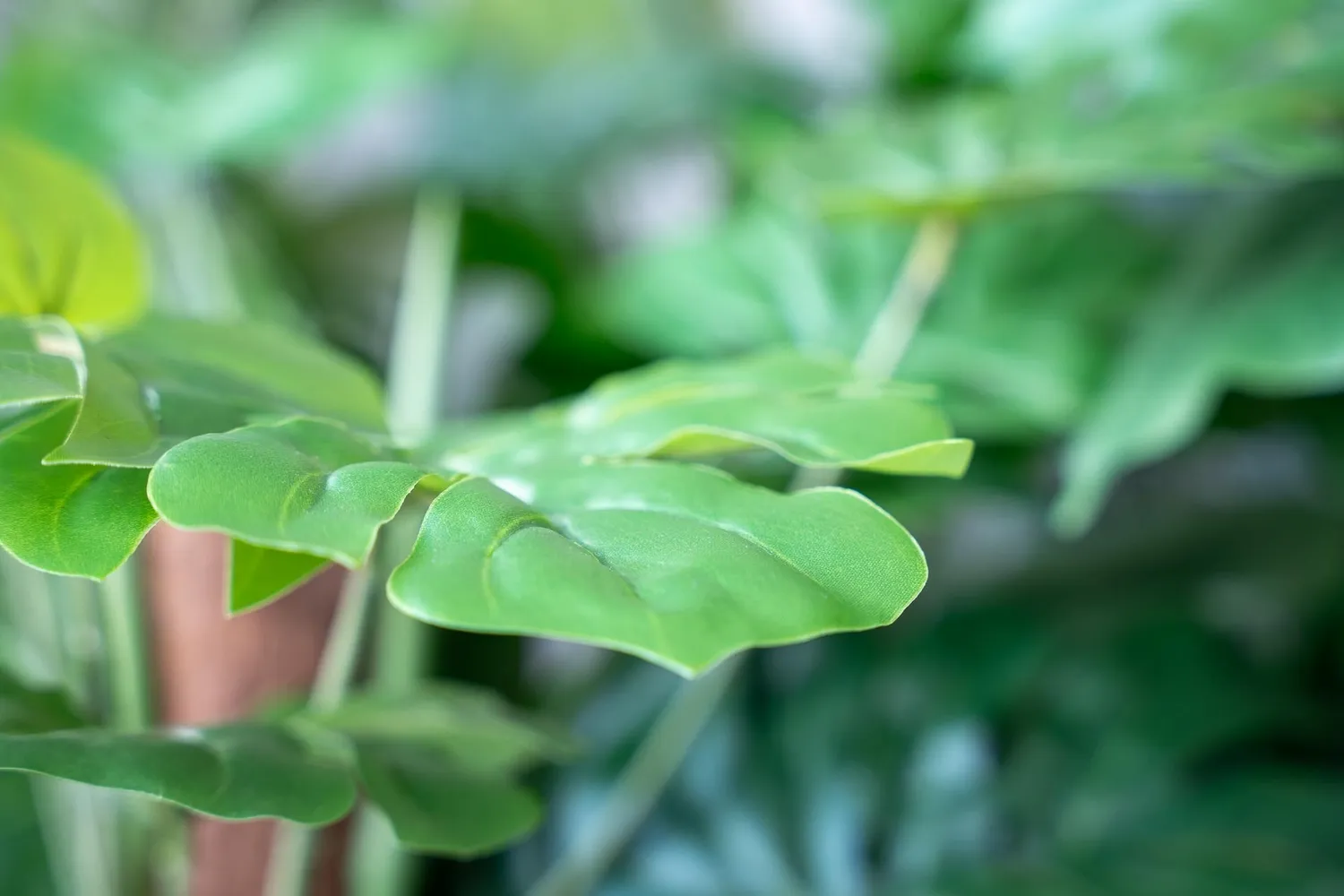 Urbanjungl Monstera kunstplant aan stok 150 cm
