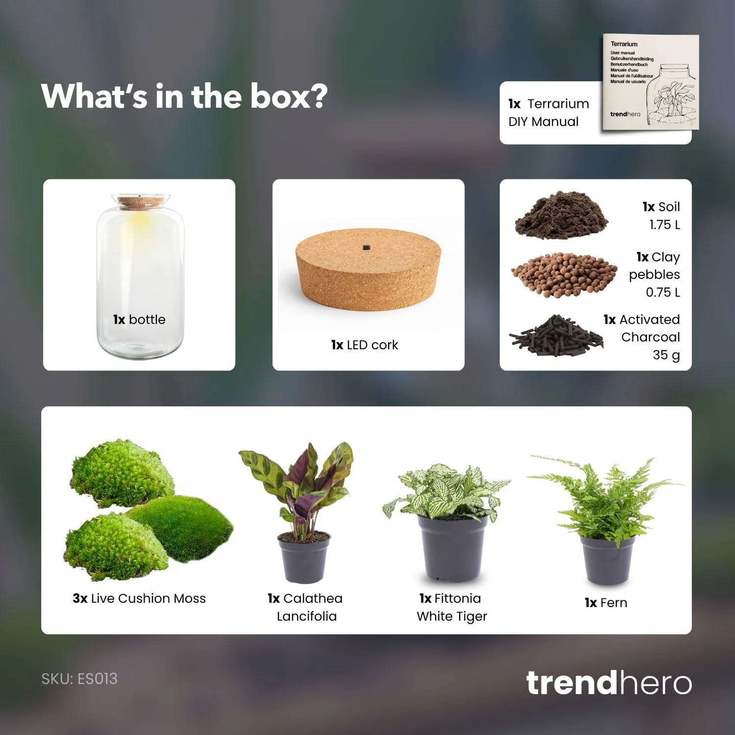 Urbanjungl Sven XL Botanisch planten terrarium LED