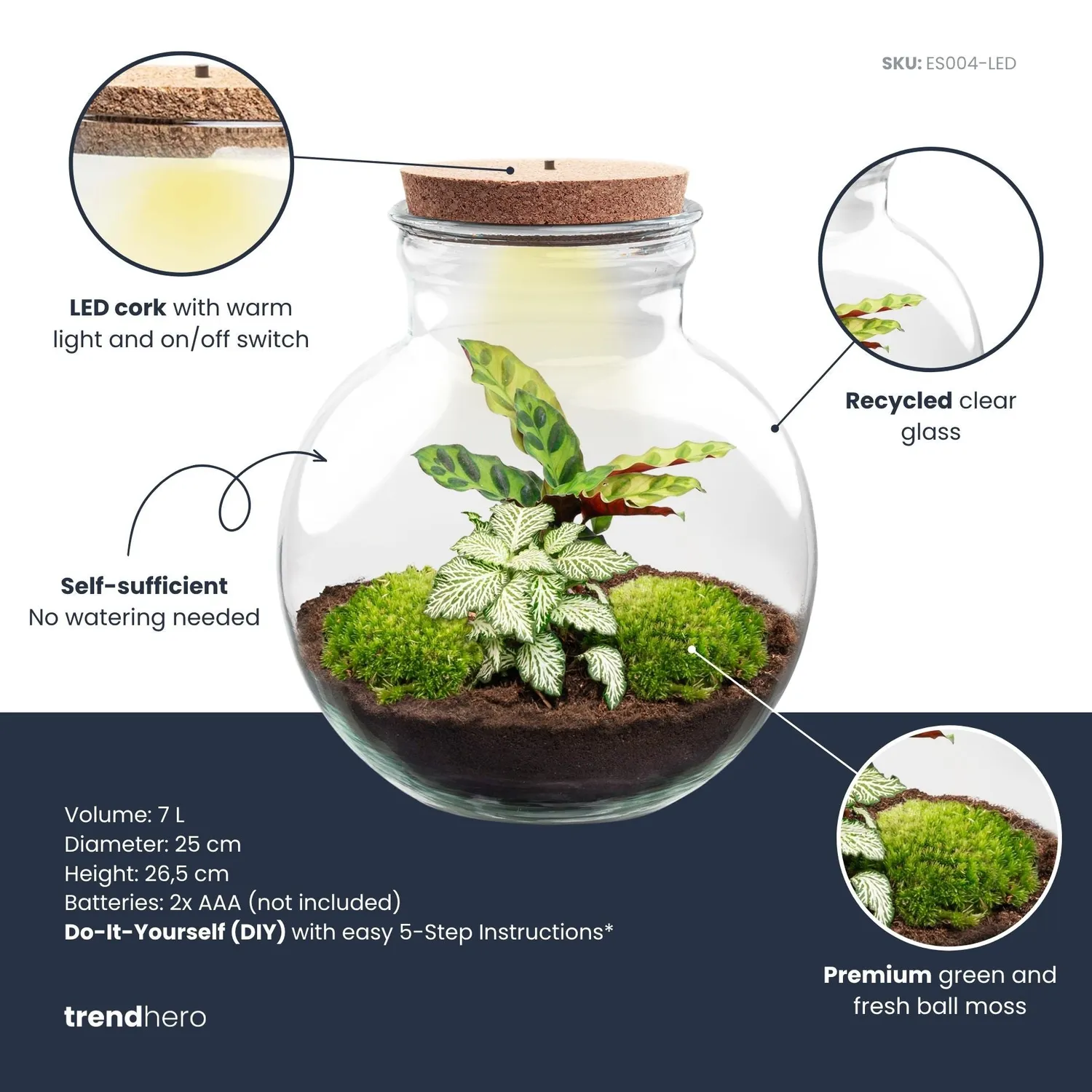 Urbanjungl Teddy planten terrarium DIY kit 25 cm met licht