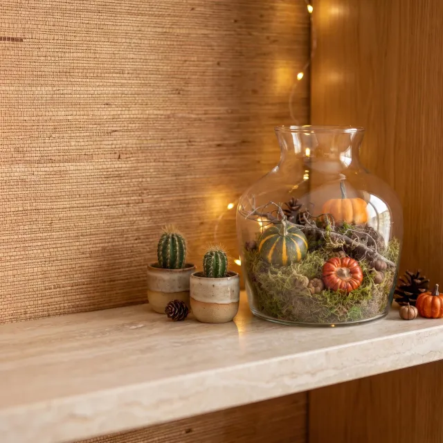 Urbanjungl Little Joe herfst terrarium 20 cm met pompoenen
